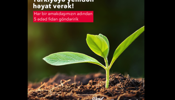accessbank-turkiyeye-6000-dek-agac-tingi-bagislayacaq